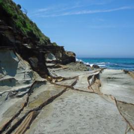 Hunting in National Parks in Australia